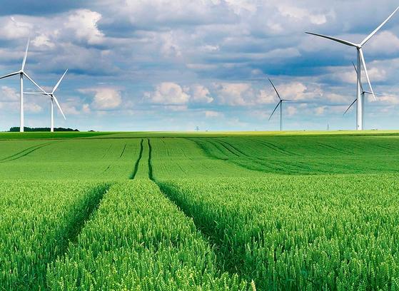 Earth Day field wind turbines